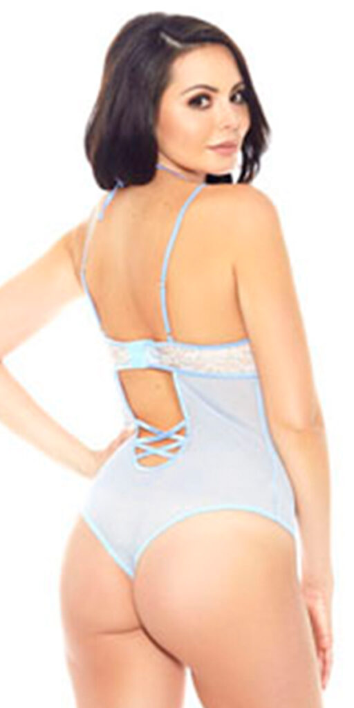 light blue floral applique mesh teddy with choker sexy women's lingerie